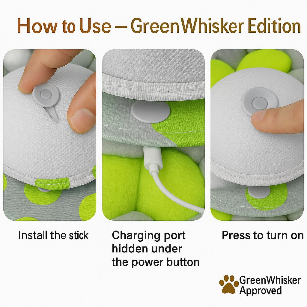 GreenWhisker Presents: The Interactive Cat Toy Loved by Leo & Kiwi