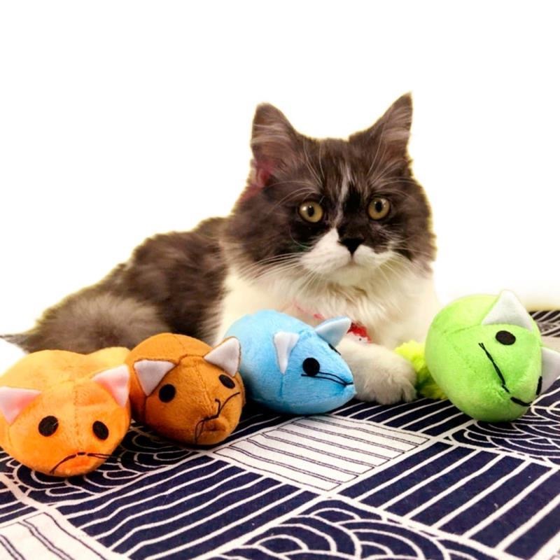 Interactive Long Tail Mouse Cat Toy | Fun Teaser for Active Play